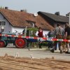 Maibaum 2013